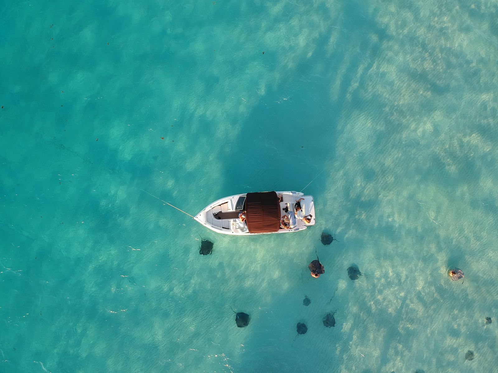 Private Boat Rental in Cayman Island