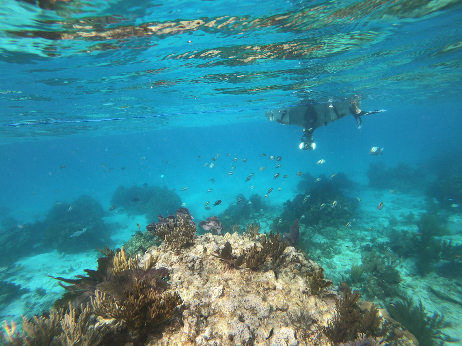 Starfish Point charter Cayman