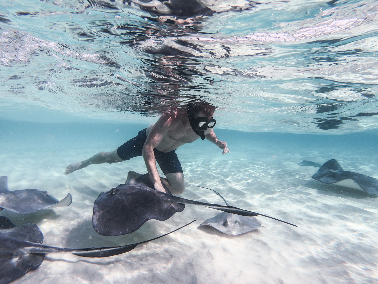 Snorkeling with stingrays